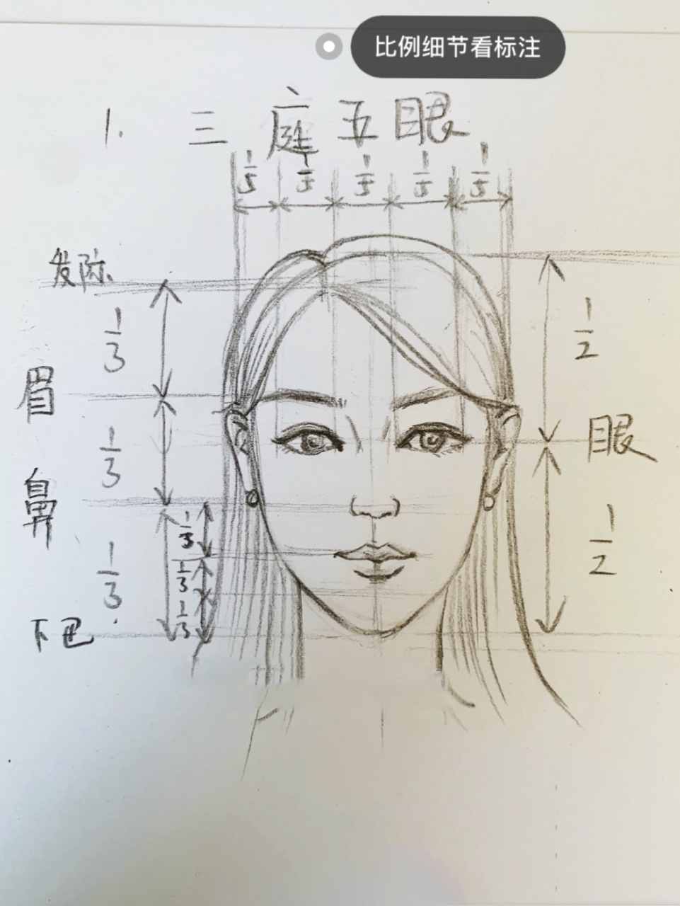 耳朵位置 三庭五眼图片