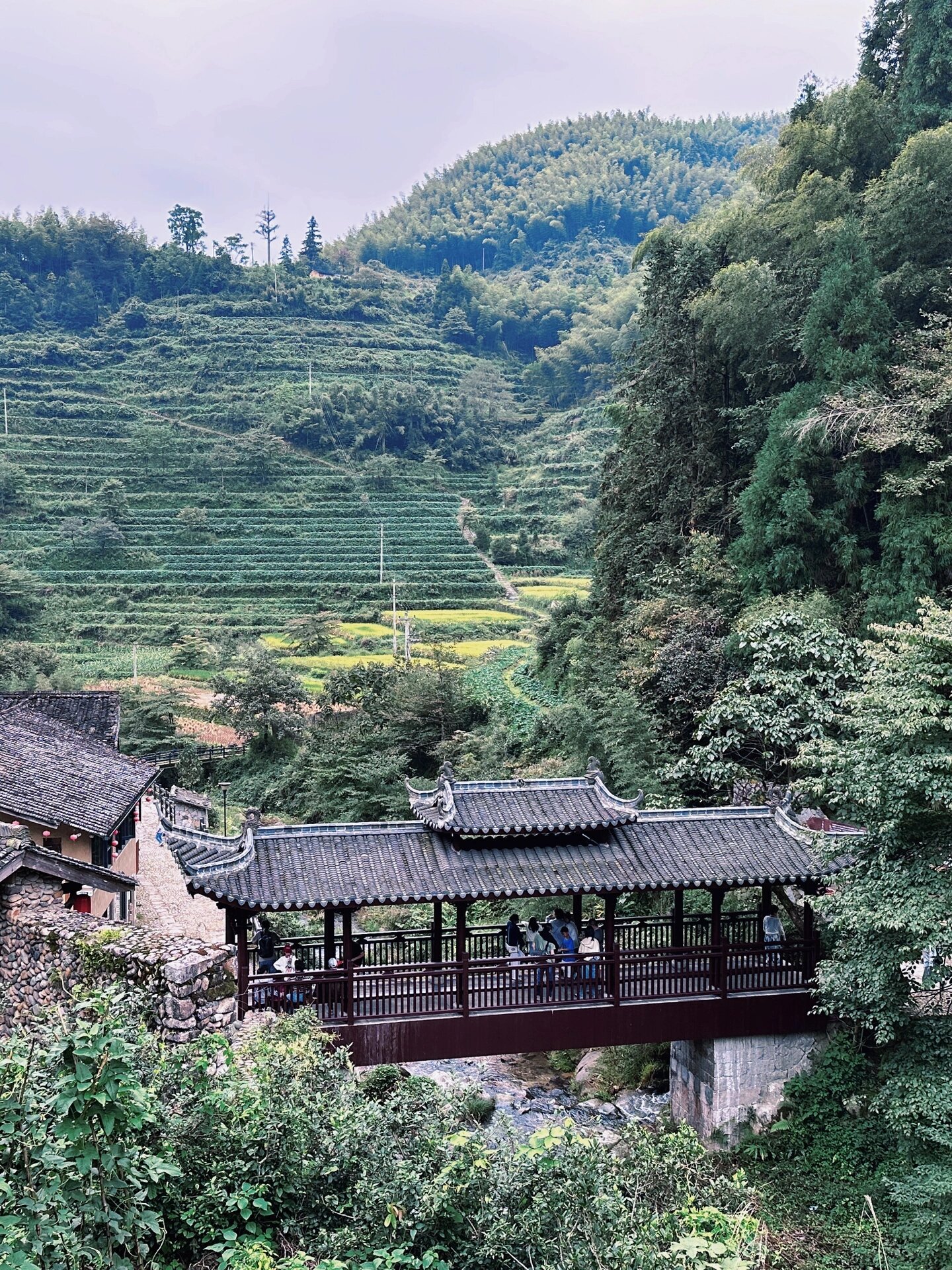 丽水白银谷古村落图片