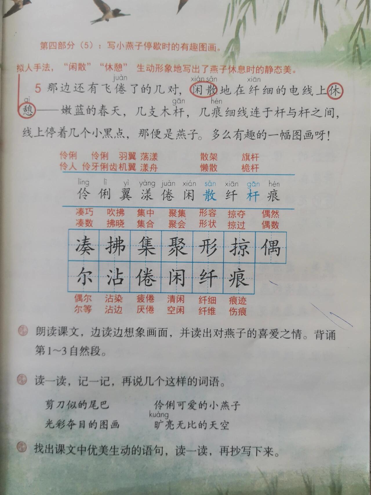 三年级下燕子生字图片