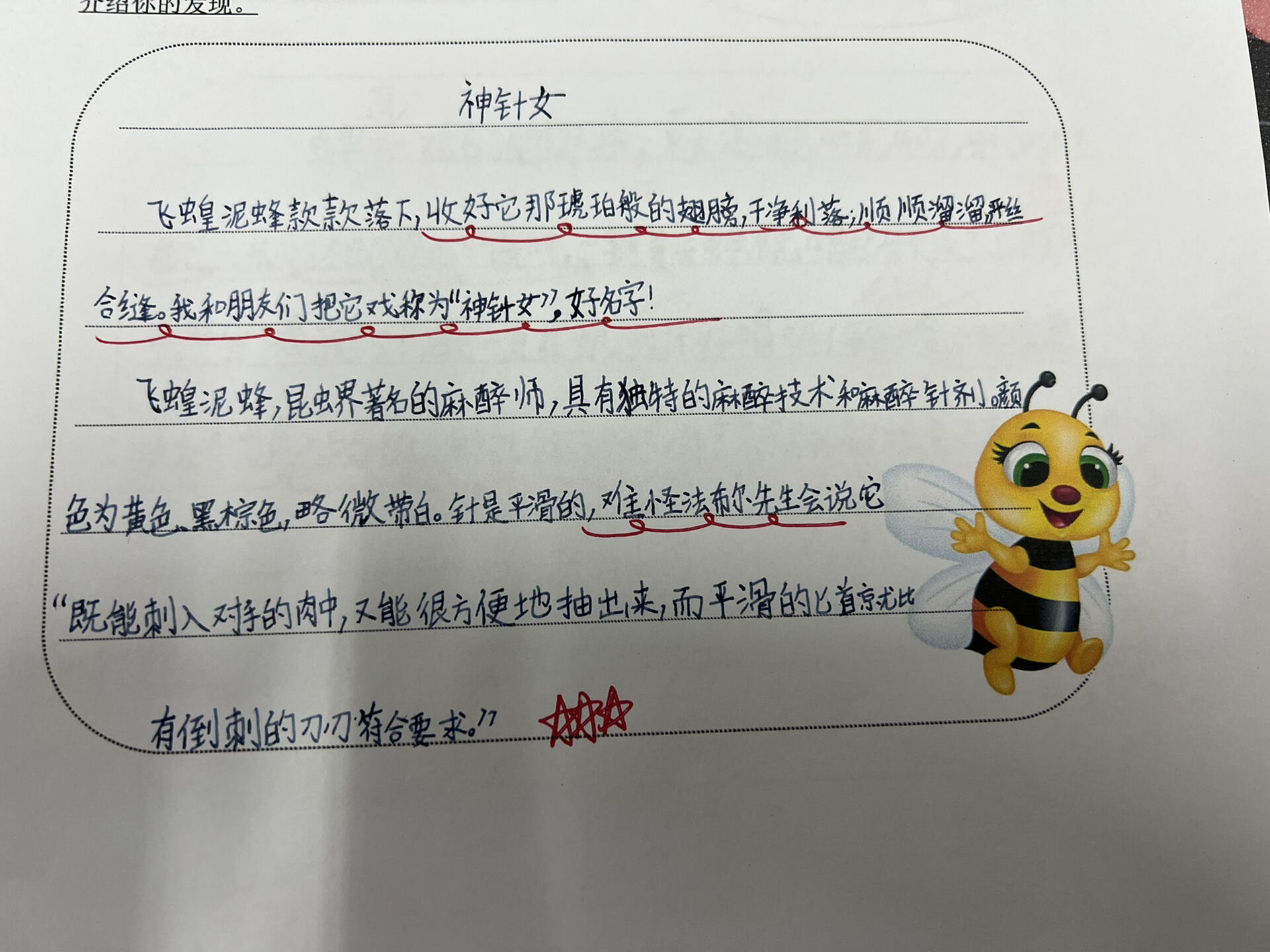 昆虫备忘录作文图片