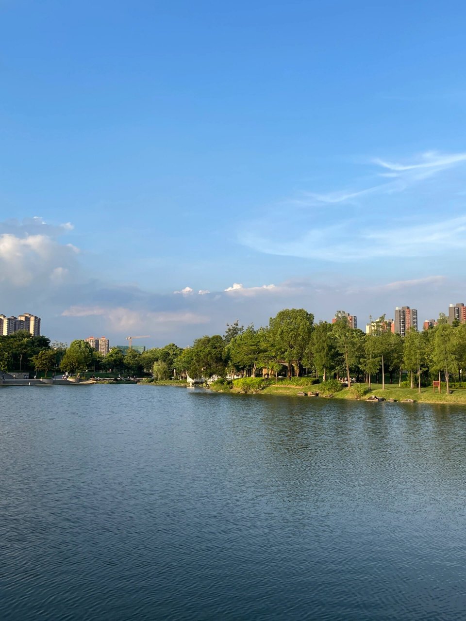 惠州鹿江公园 太好看了吧～ 露营7215野餐93散步91遛娃92