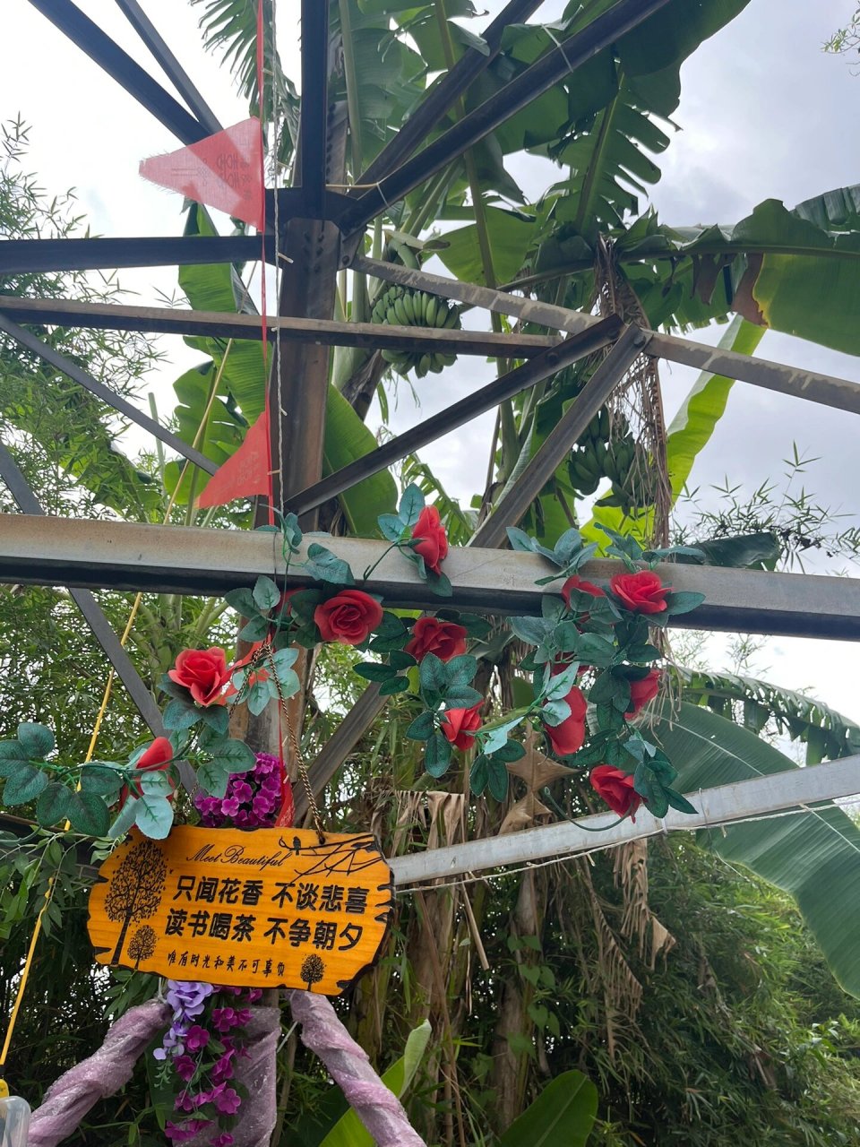 西丽山水农庄   靠近西丽动物园 招牌菜烤羊排,鸭嘴鱼一鱼两吃,窑鸡