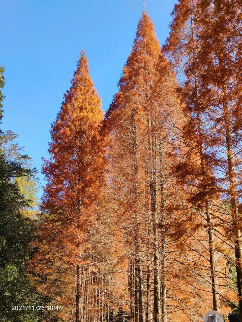 将乐龙栖山攻略秋景图片