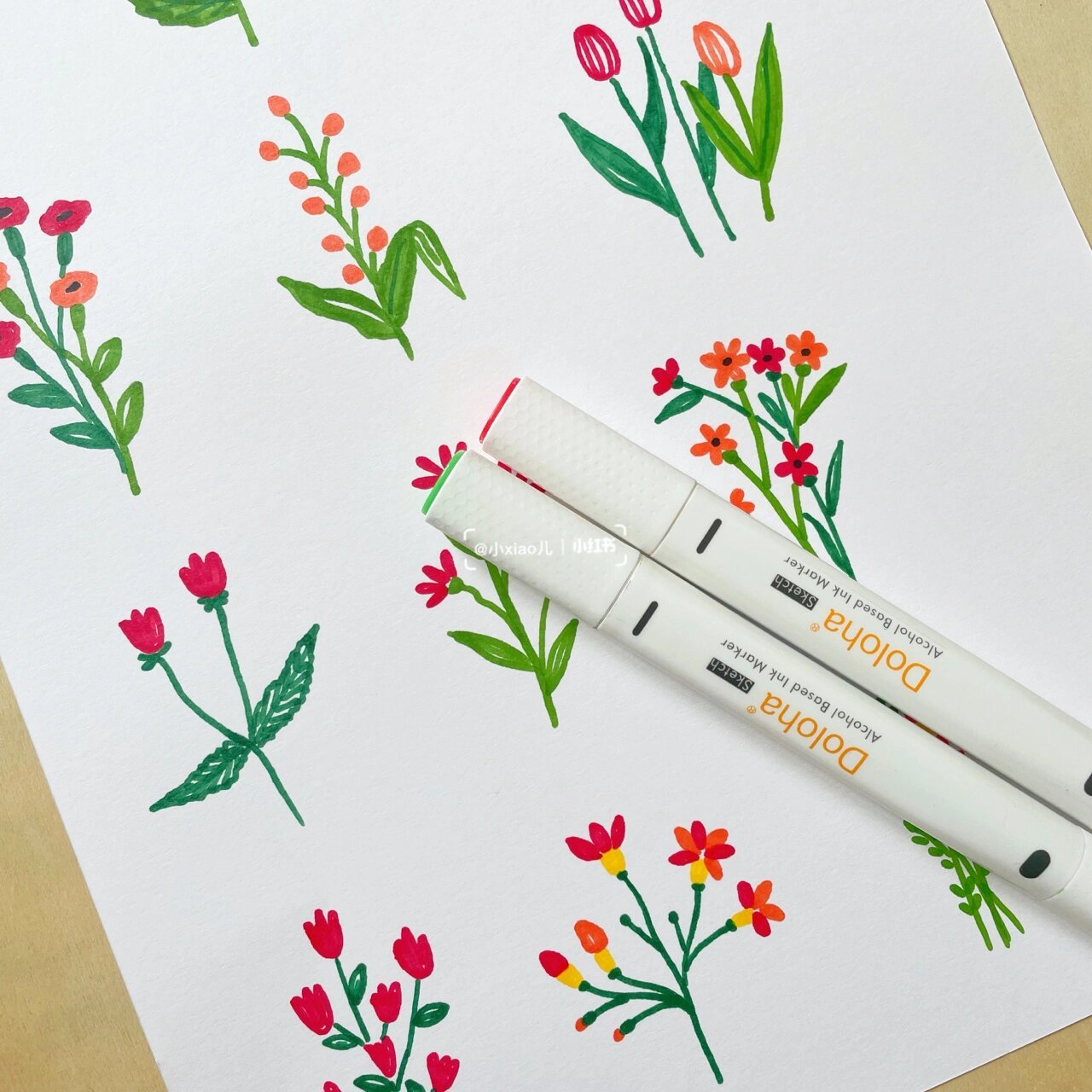 临摹:jin_oildrawing 马克笔:多乐绘学生30色 马克笔手绘 | 简笔画