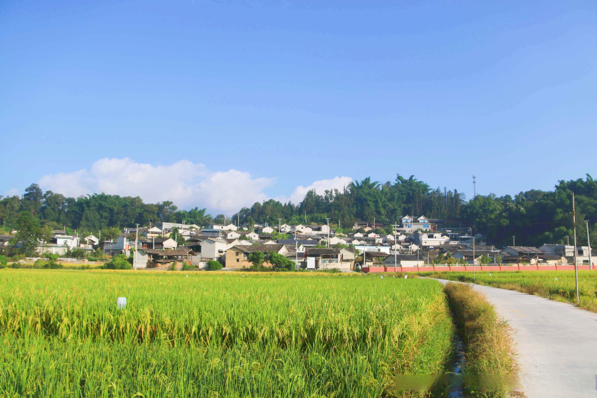 乡村振兴看腾冲# 【去云南腾冲蒲川乡,感受传统村落宁静悠扬的时埂靠