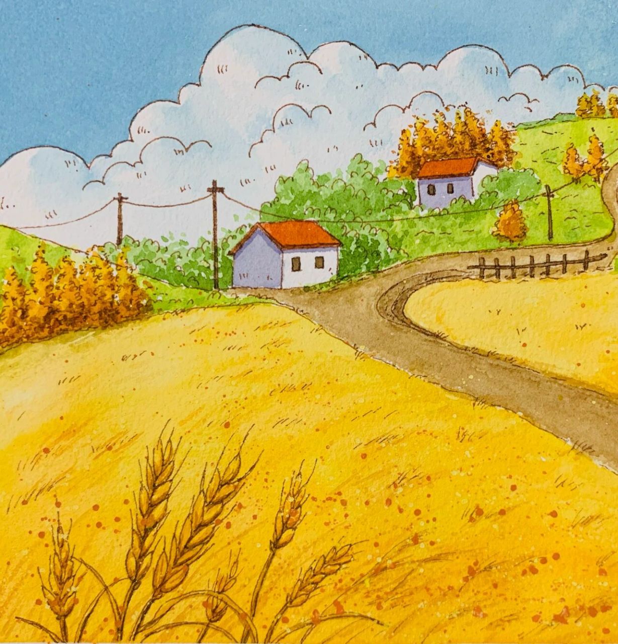 🌾(过程记录) 丰收啦🌾🌾 参考了一张婉婉老师夏天的田园画🌱