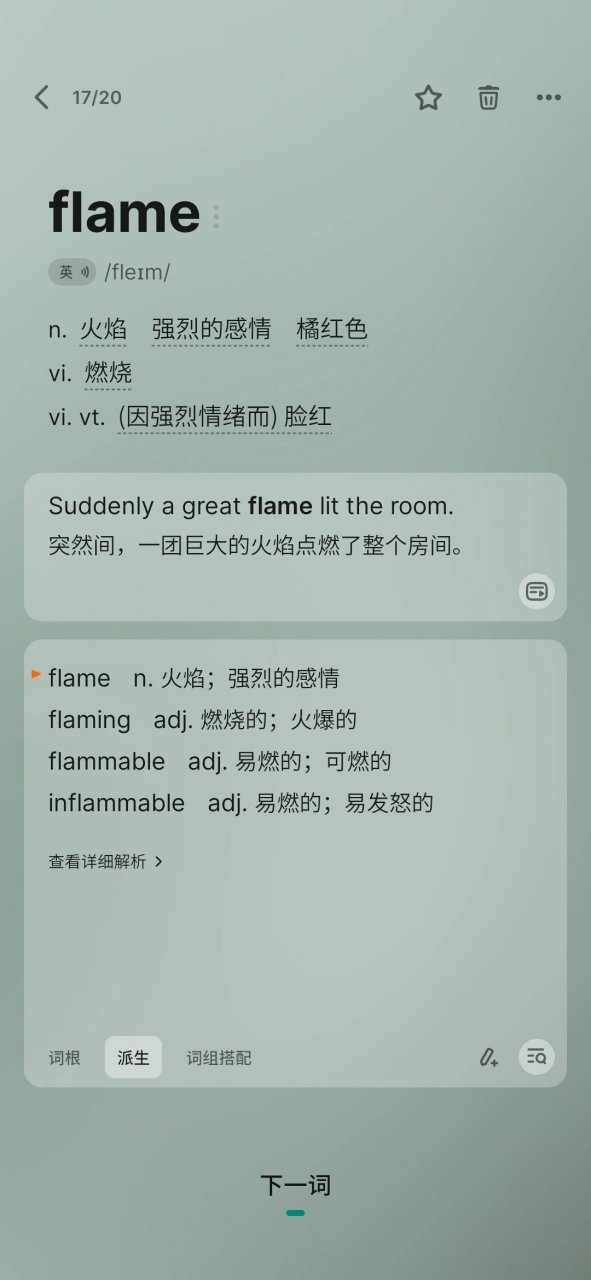 flame什么意思? 其他选项你知道对应的英语单词吗?