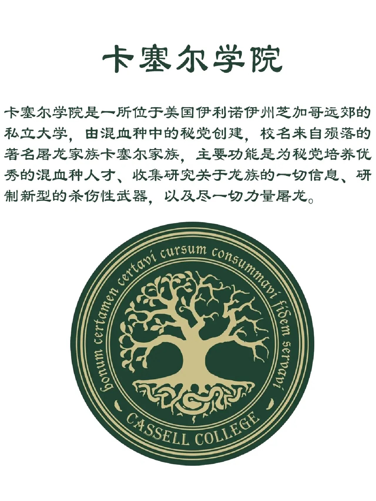 卡塞尔学院