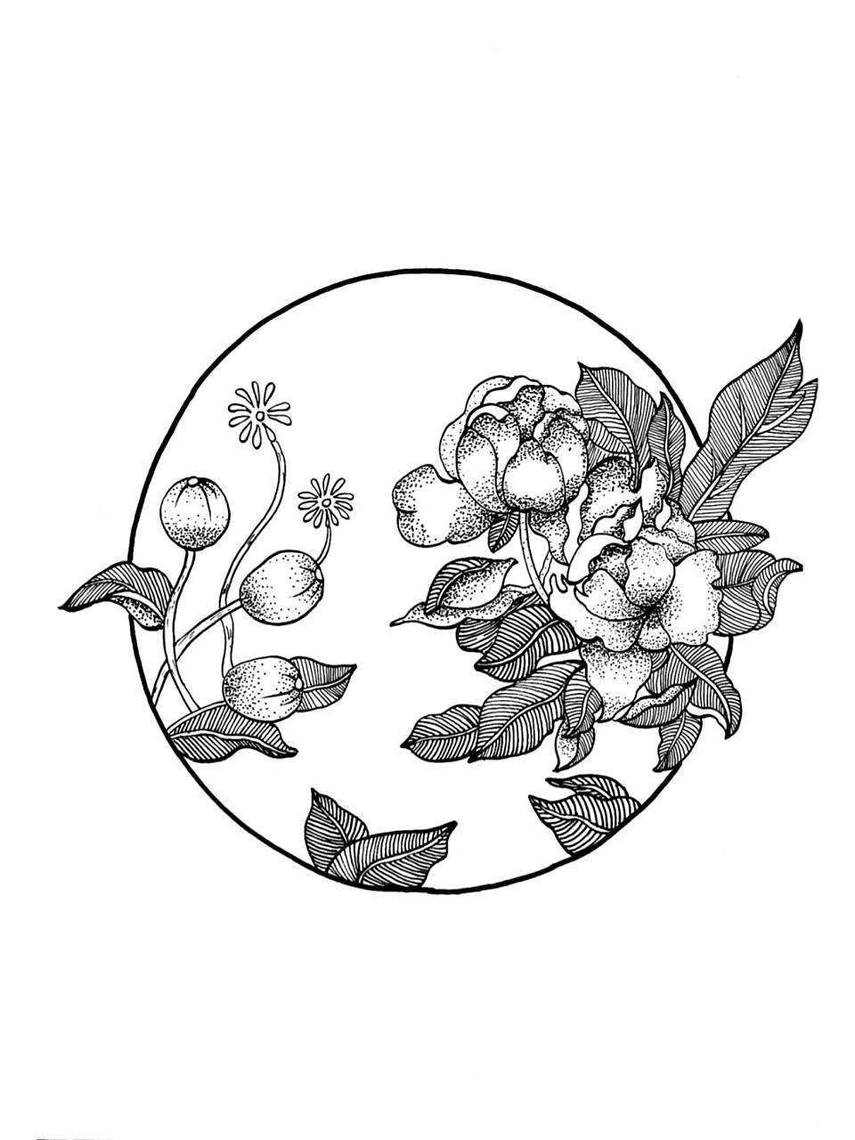 虞美人线稿|黑白装饰画|简单易画 笔:樱花针管笔 #绘画# #黑白装饰画