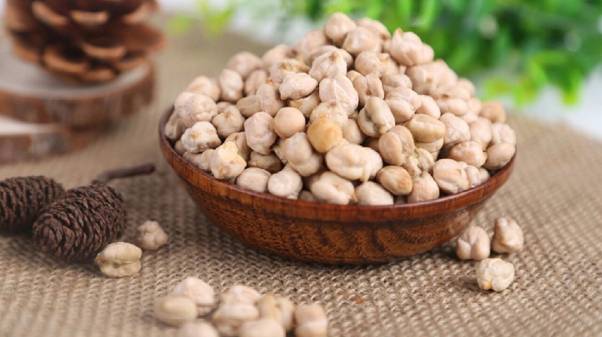 鹰嘴豆的营养价值,功效与作用 1.