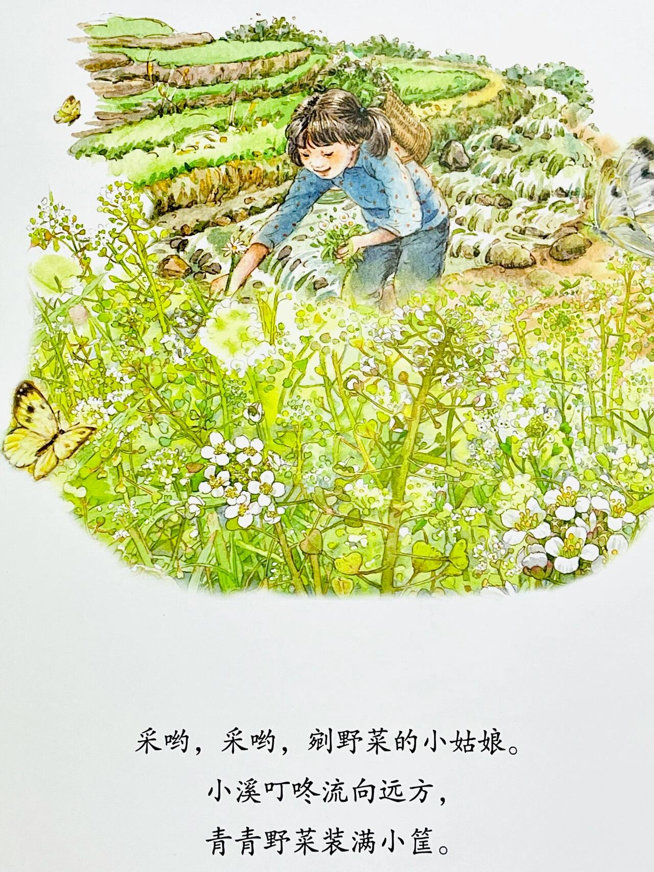 绘本《迎春花开了》 春天的使者迎春花姑娘,随着春天的到来,她将带领