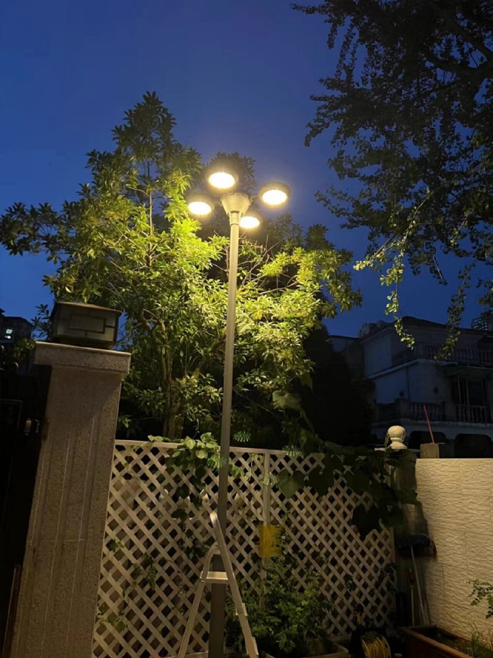 路灯照射的光好像是漫天的雨水,明亮,皎洁 99路灯,是灯也是照亮夜晚