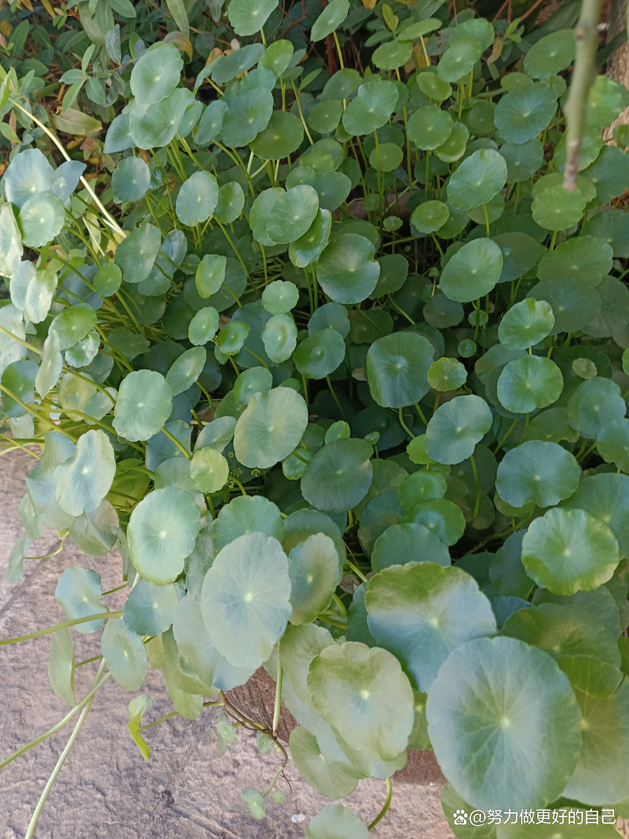患癌后,我们得勇敢面对,开心也是一天,不开心也是一天
