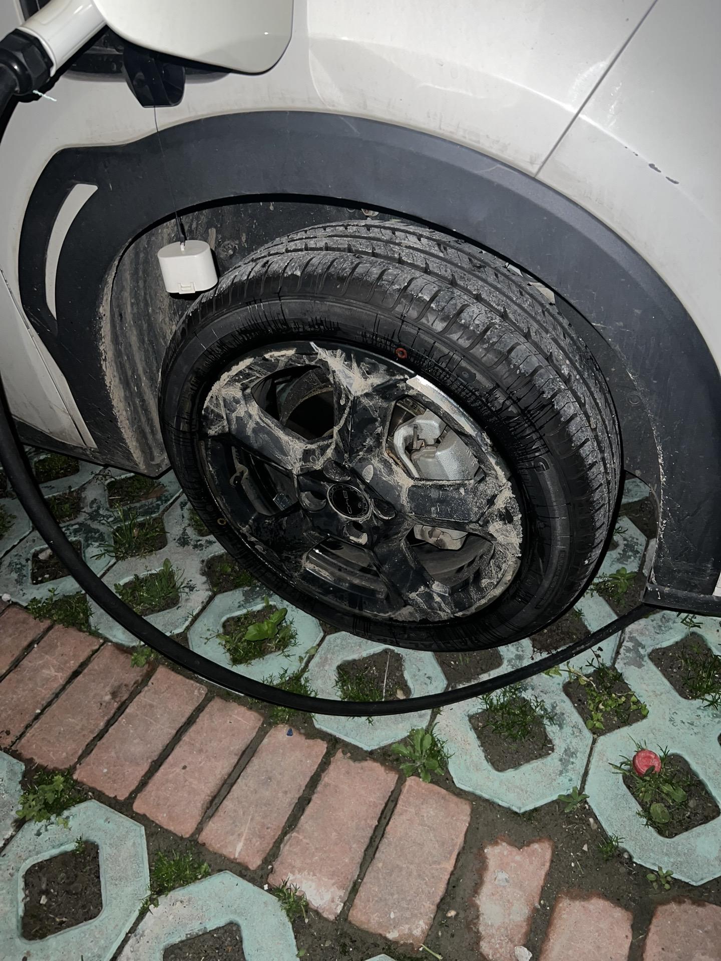 小海鸥一万公里爆胎了