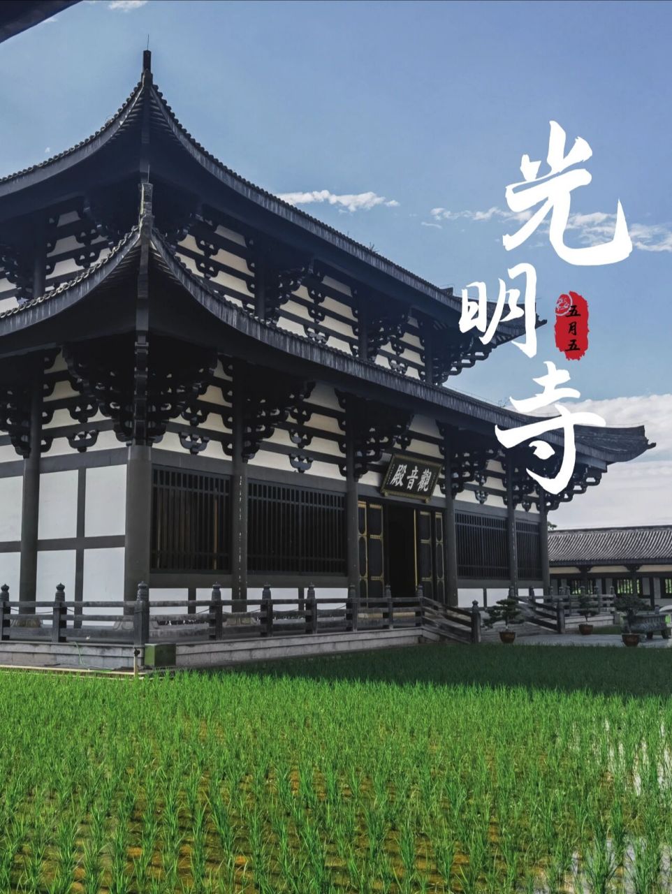 洪雅光明寺||成都周边网红古风寺庙 166光明寺始建于唐,后毁于乱世.