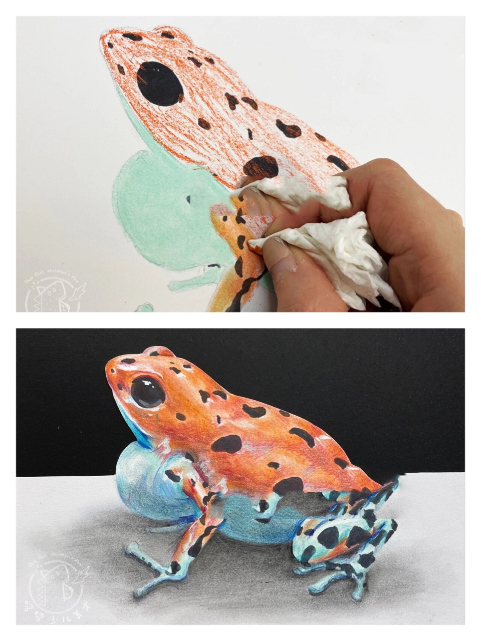 【箭毒蛙】绘画步骤图详解 『使用材料』: 铅笔,橡皮擦,马克笔,色粉笔