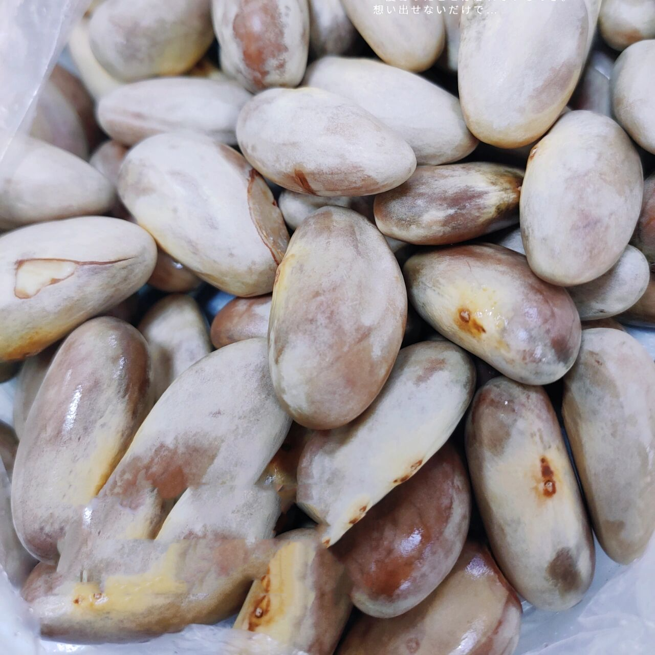 大树菠萝核 67原来全身都是宝91 67 67今早把菠萝蜜核 盐水