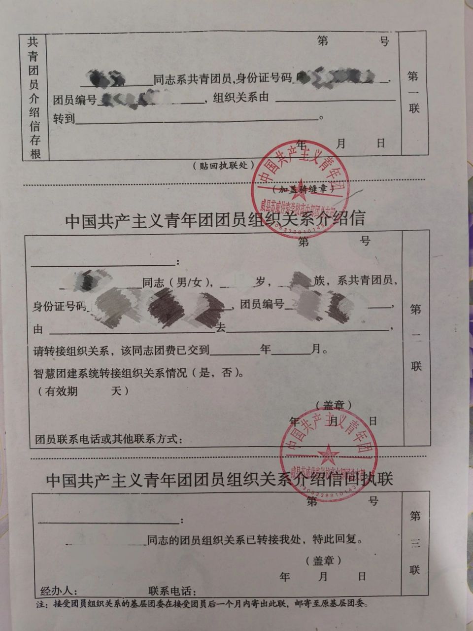 大一新生团员介绍信填写 家人们,这个怎么填啊,正常的团费交到什么