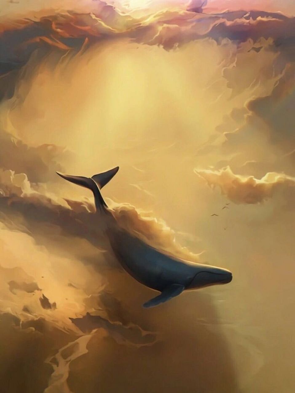 北冥有鱼,其名为鲲 鲲之大,一锅炖不下.