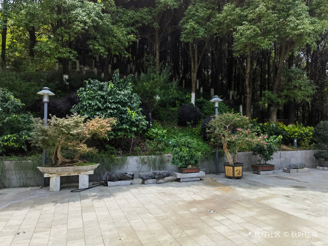 贵州金麦国际马术俱乐部游玩攻略来啦_超全干货