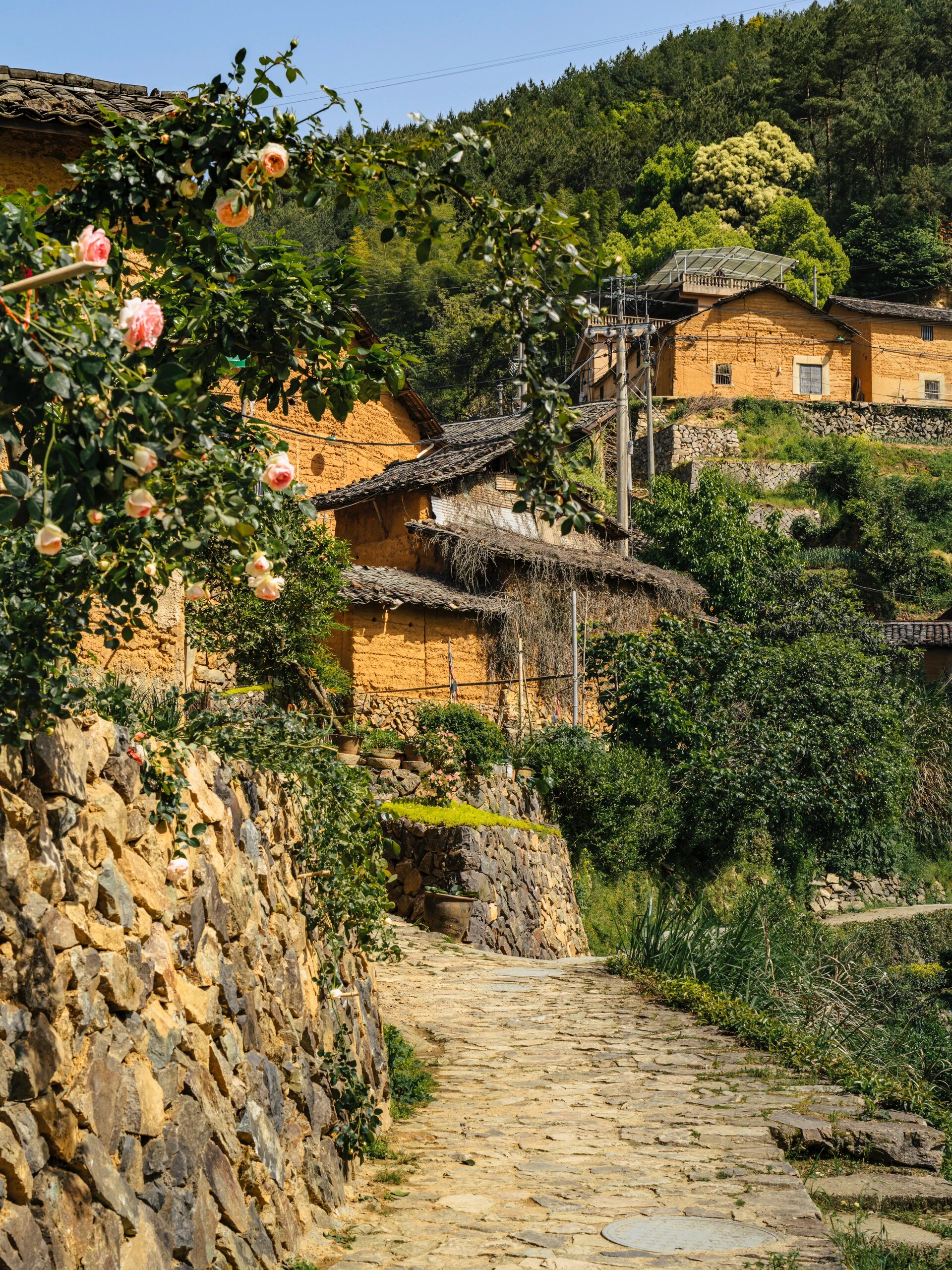 松阳|在酉田村收集到的一些初夏记忆 对首图的喜欢让我很难放下酉田村