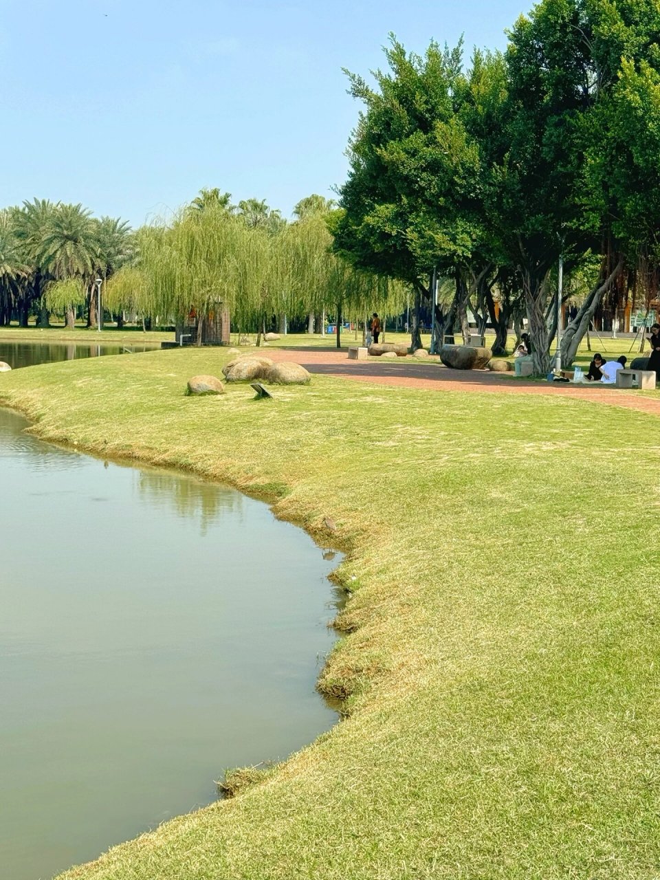 在汕头市区内隐藏着这么一个宝藏公园,纯天然吸氧|露营9115|野餐