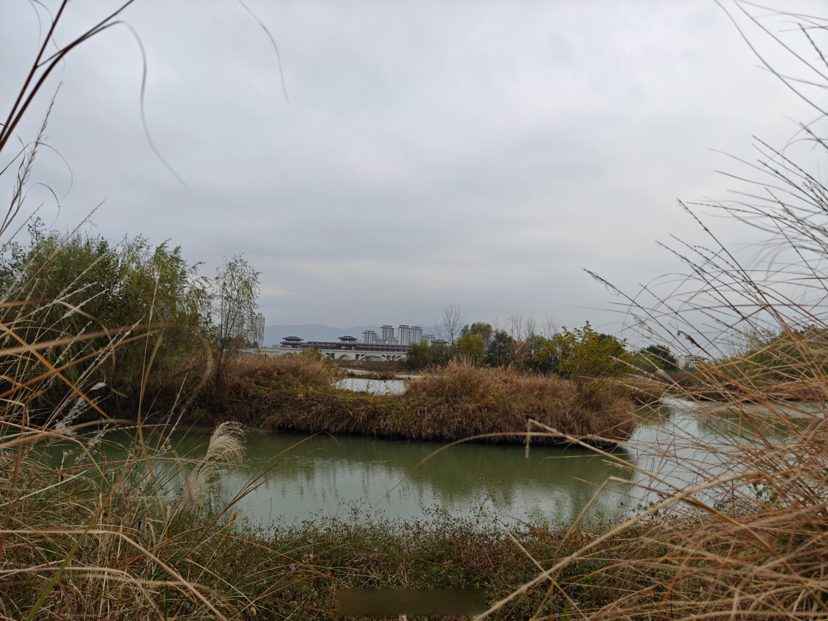 汉中天汉湿地公园图片