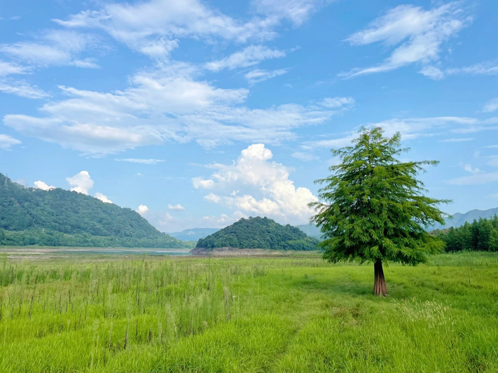 宁波 奉化亭下湖 绝美 说这是一个神仙般的地方一点都不过分哦!