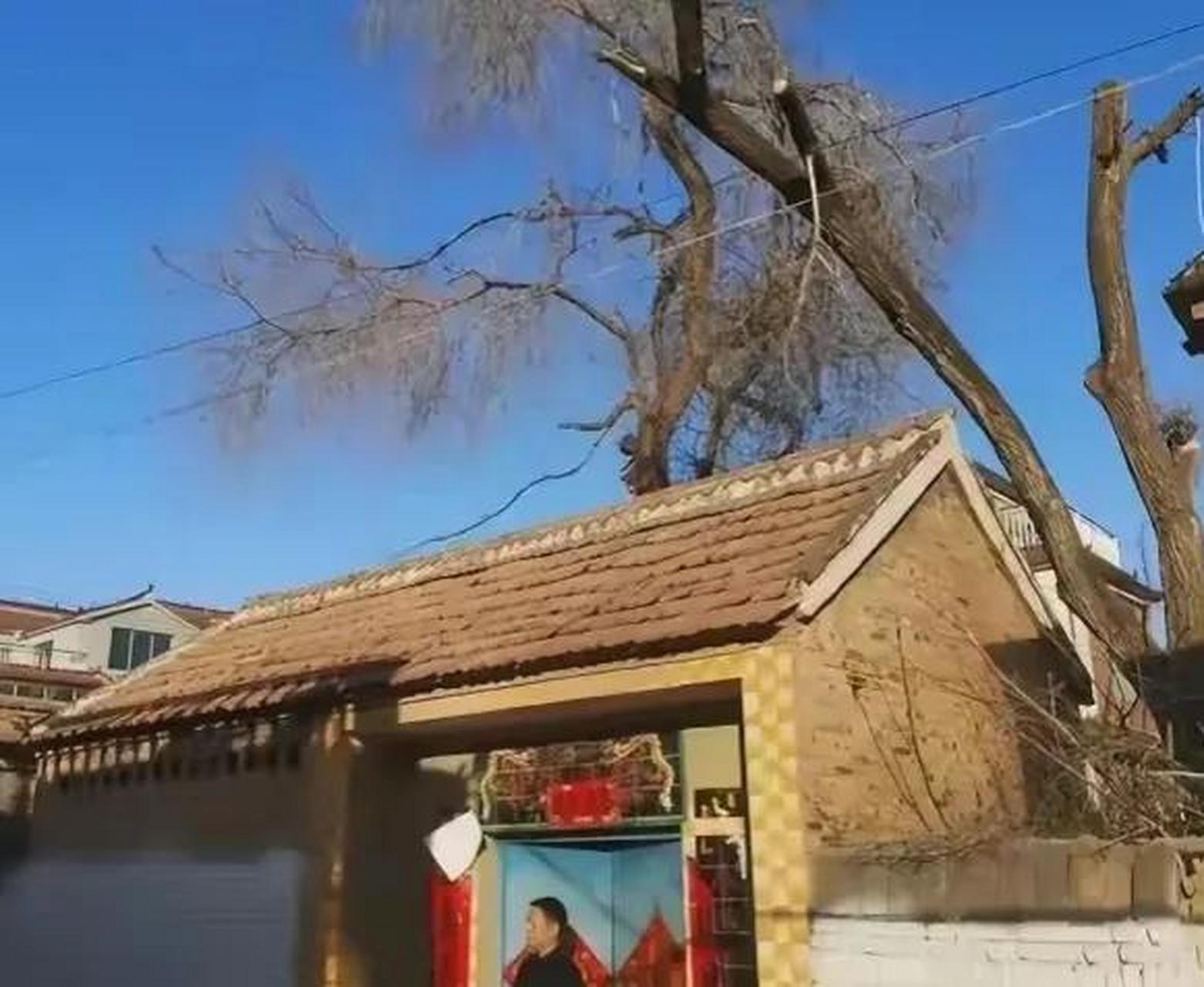 许家印风光的时候每次回老家迎接的人水泄不通.