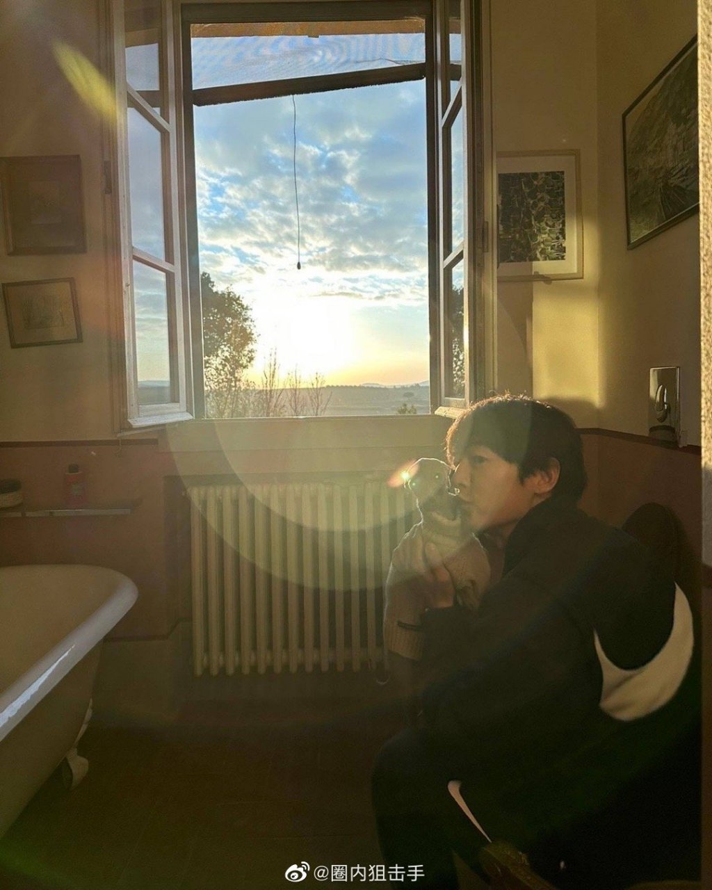 宋仲基与狗狗合照#宋仲基近况照9615,生活气息满满,阳光下抱着