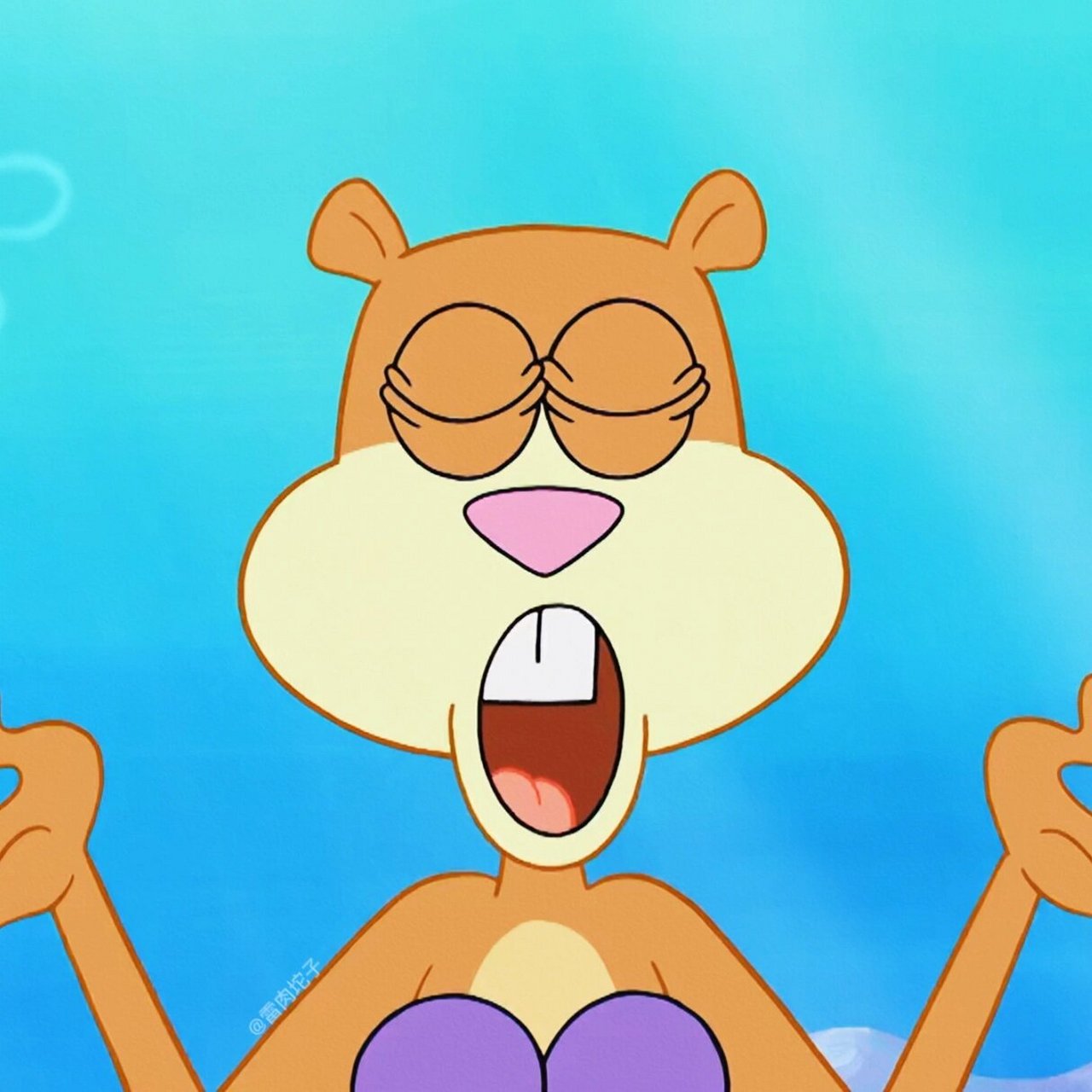 珊迪头像合集26615