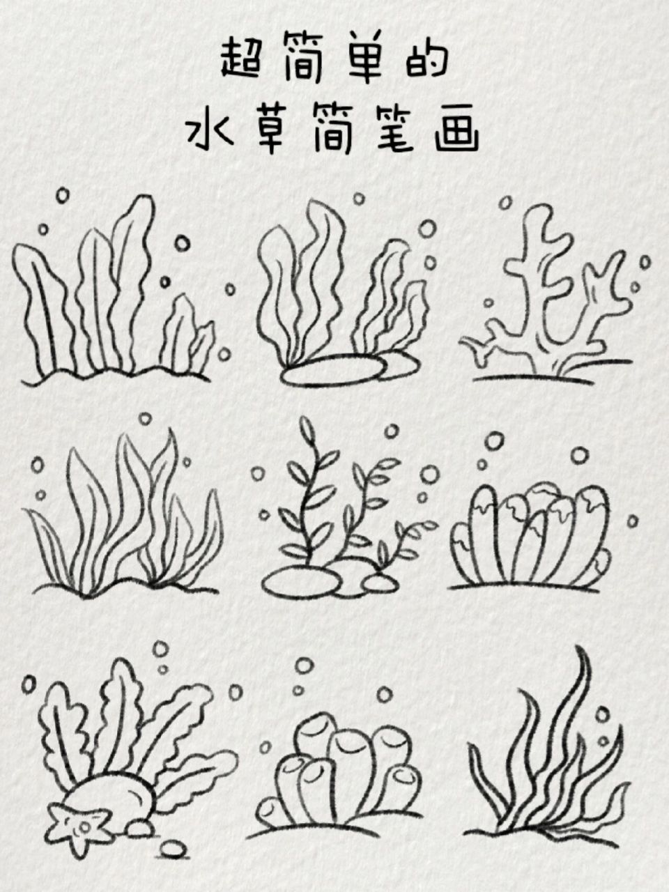 水草画法 简笔画图片