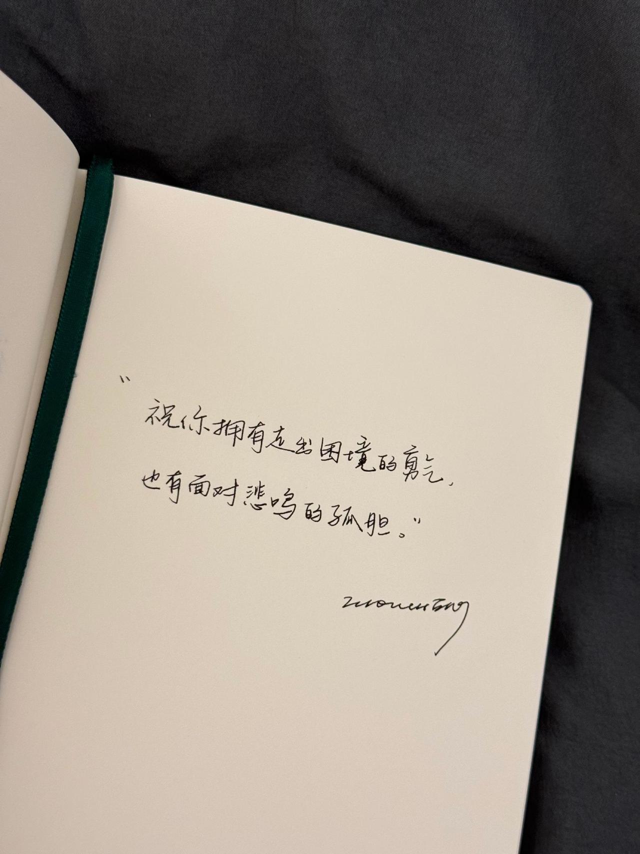 悲鸣的孤胆 祝你不必祈求上天赐予 祝你生来便有 每日分享 书摘语录