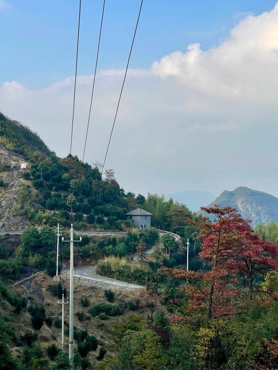 雪窦岭香榧古道图片