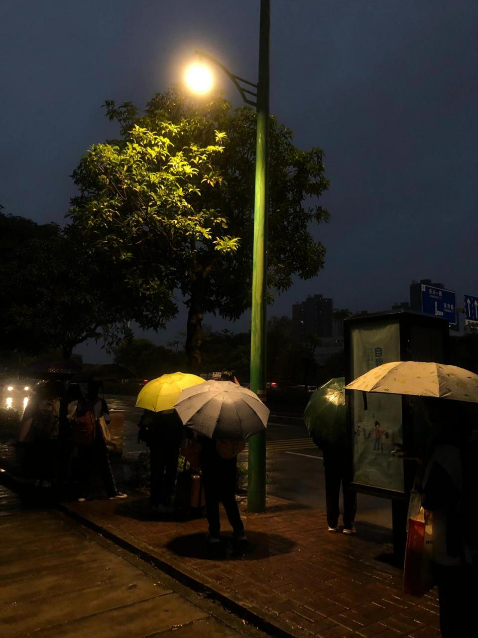 夜晚路灯下适合发朋友圈文案 1,夜晚走在回家的路上,抬头看看路灯洒下