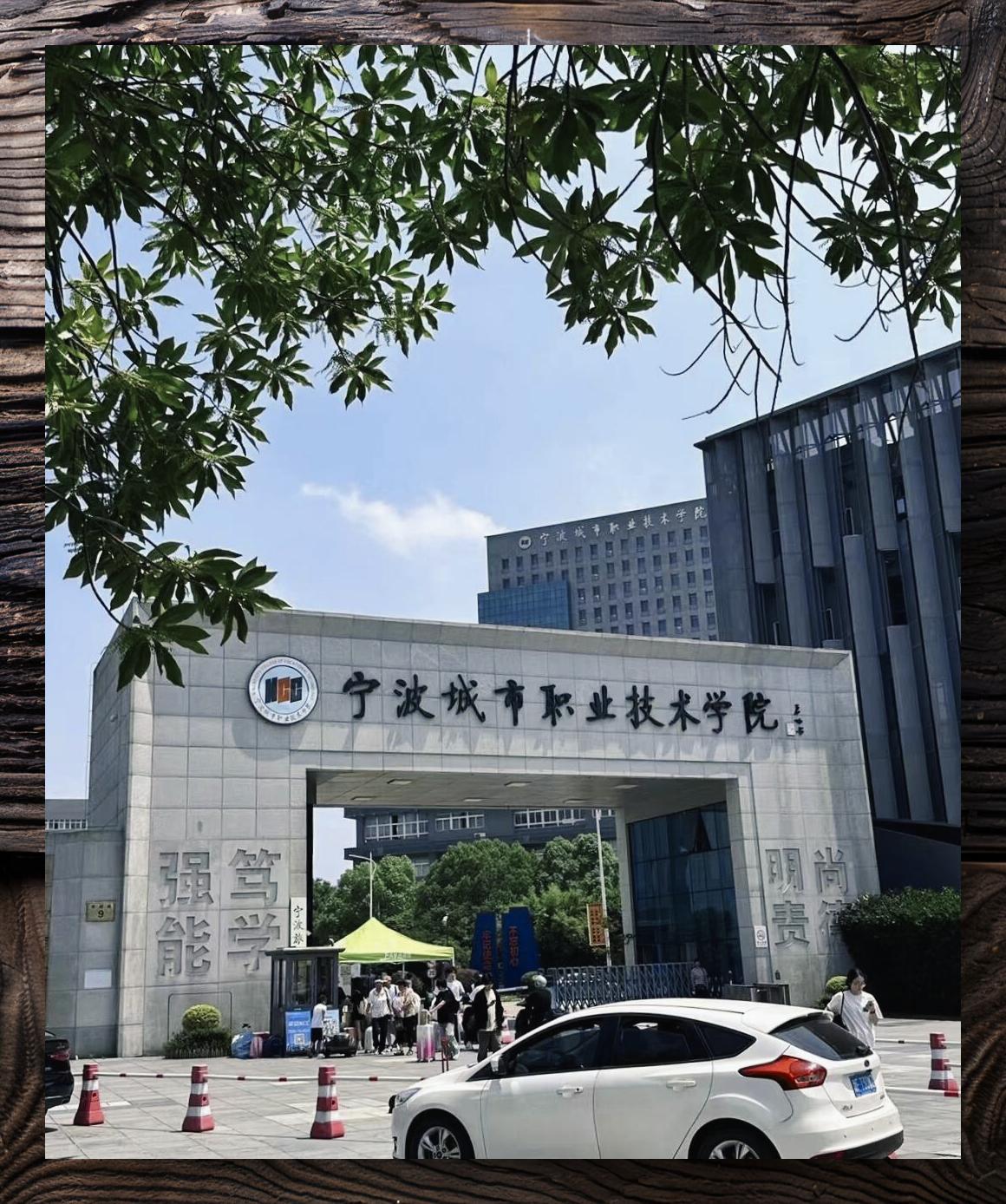 宁波外事学校官网：教育之桥，通向未来的世界视野
