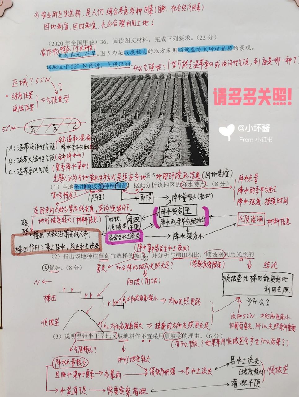 2020全國甲卷——順坡壟種葡萄 農業區位選擇,就是人們綜合考慮多種