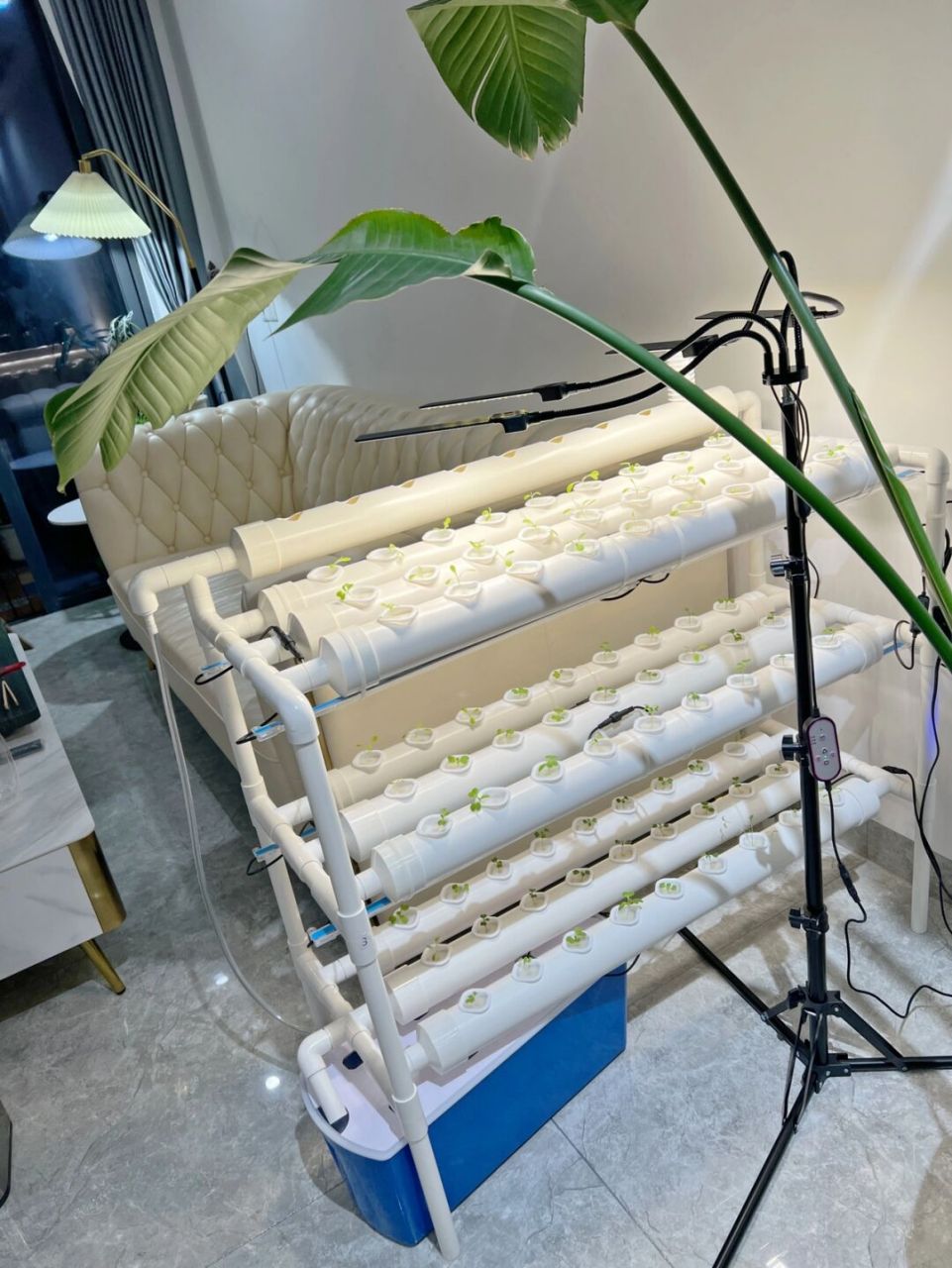 水培日记3 巨资买下的无土栽培装置,不要问我店铺哈,哈哈哈 一开始