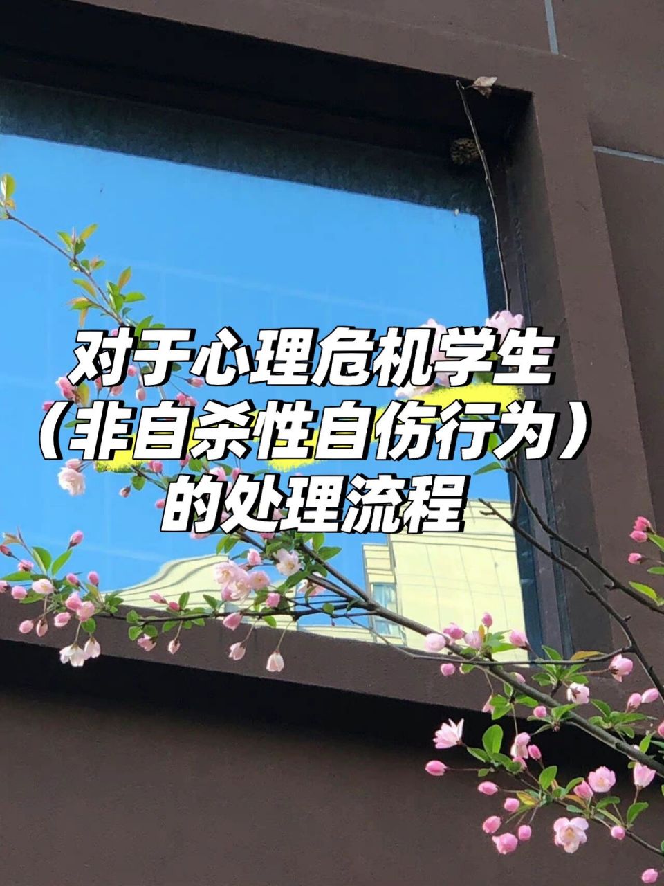 关于心理危机学生(自残&自伤)的处理96 对于非自杀性自伤行为的学生