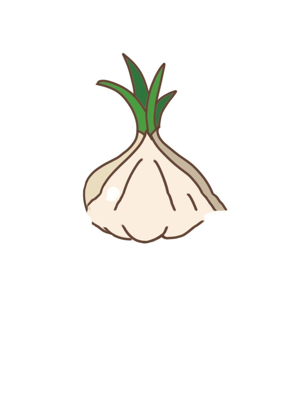 蒜苗大蒜🧄成长记