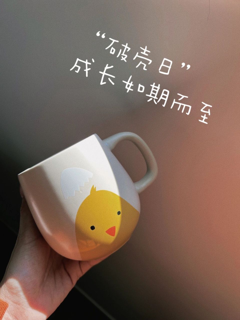 破壳快乐9912条温暖又惊艳的生日祝福文案 一岁一礼 一寸欢喜 破壳