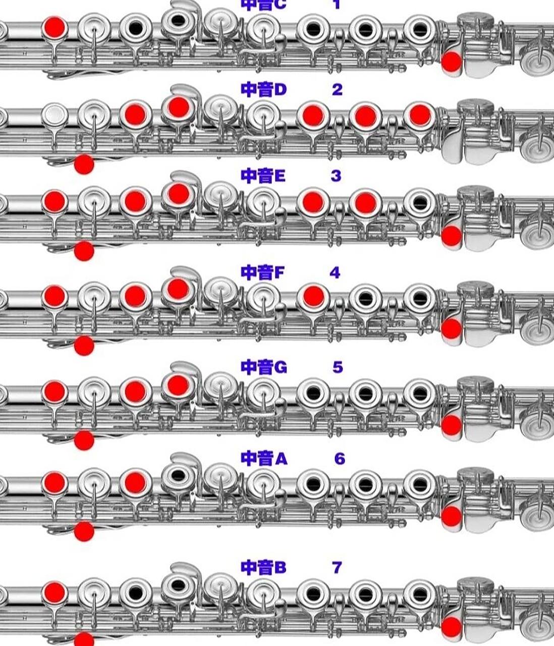 长笛指法表 第二弹 99长笛高音指法图正在学习的宝宝们,快来领取!