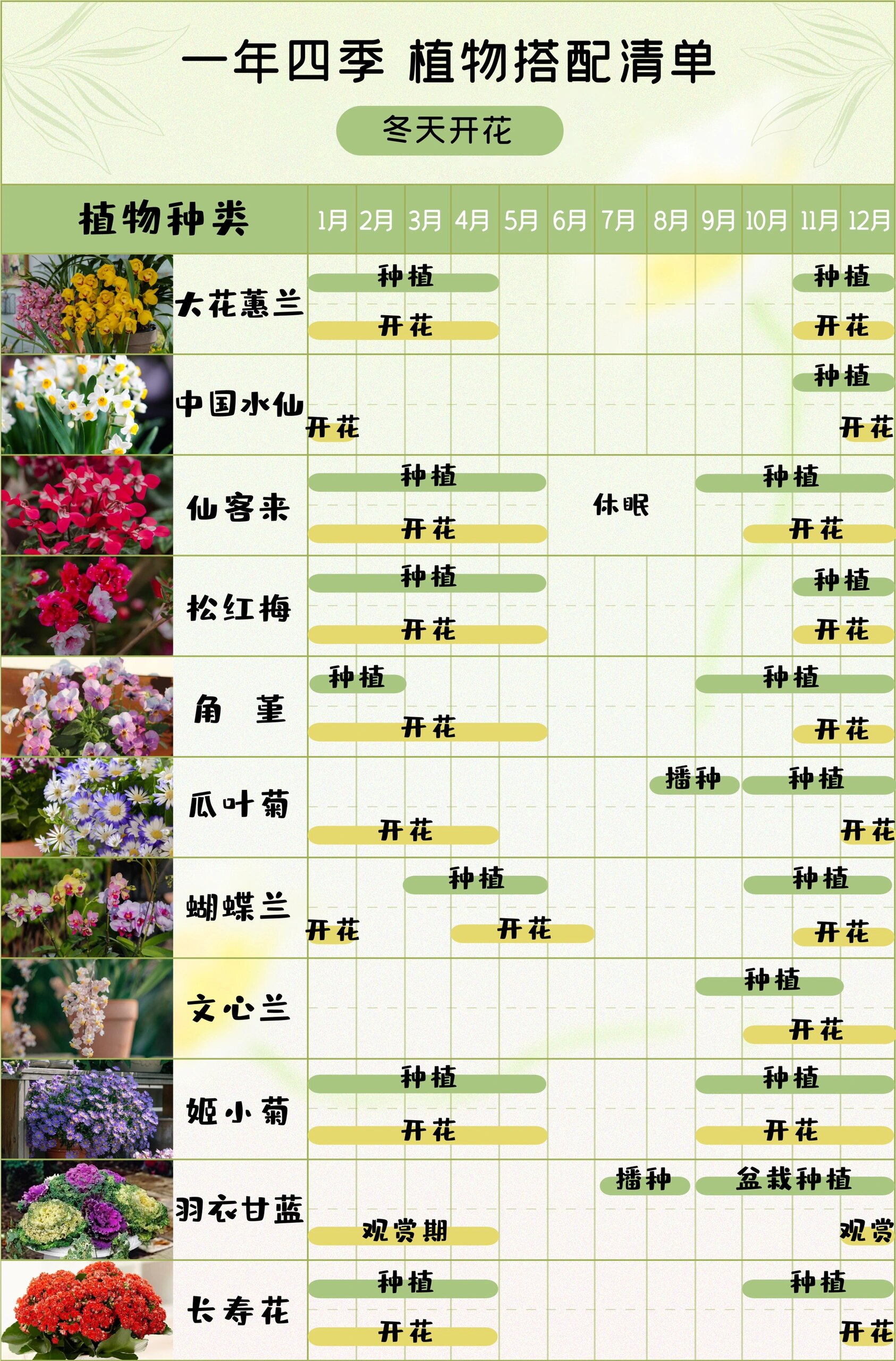 春夏秋冬植物搭配清单