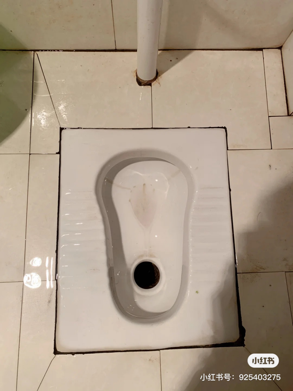 猫砂堵厕所 猫砂堵厕所还在叫专业疏通吗? 教你们一个办法!