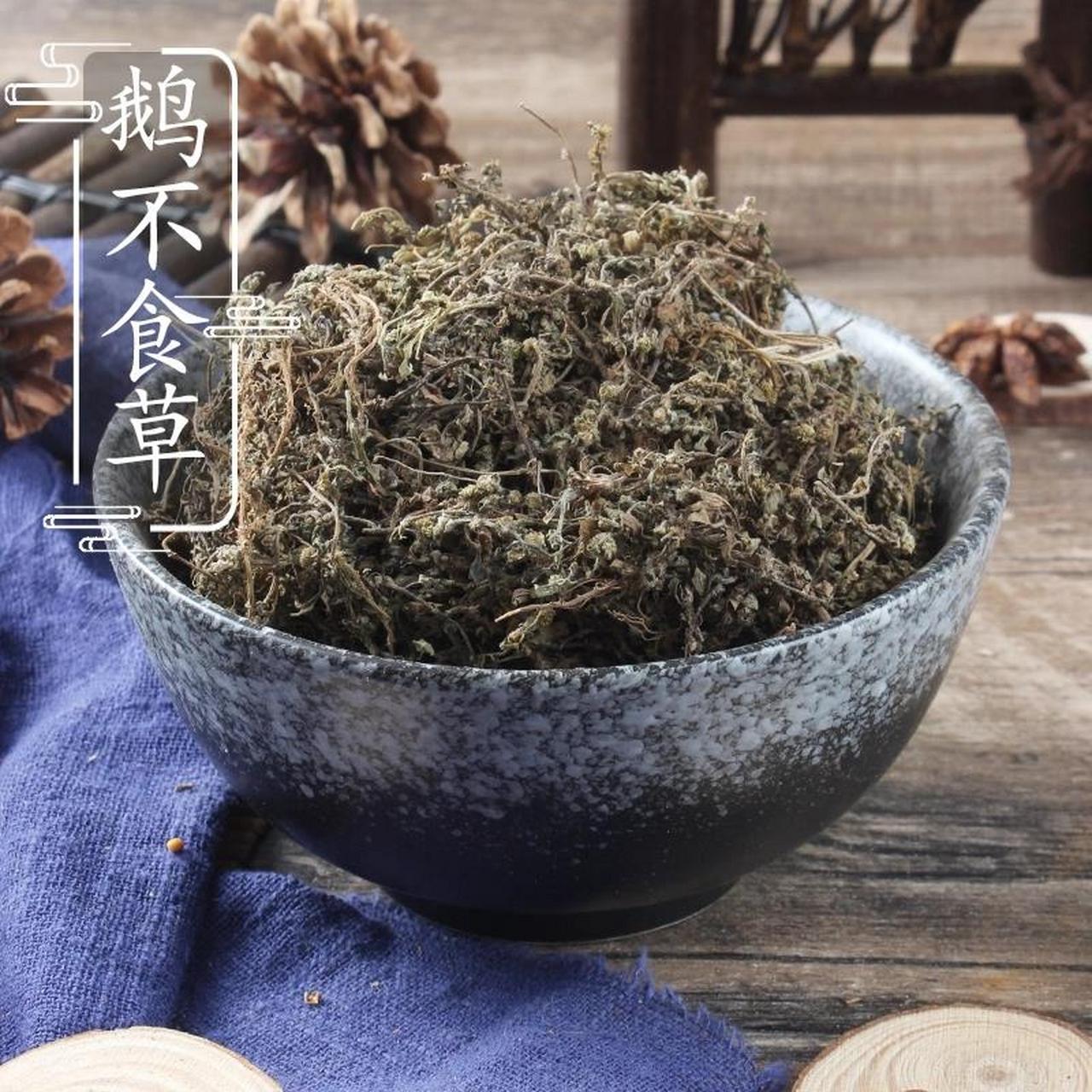鹅不食草 治鼻炎---中药成分之鹅不食草 功效与作用 发散风寒,通鼻窍