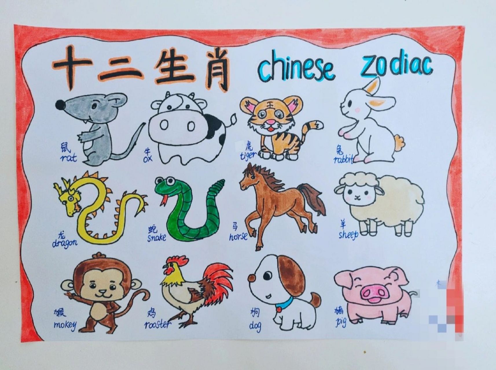 英语十二生肖手抄报