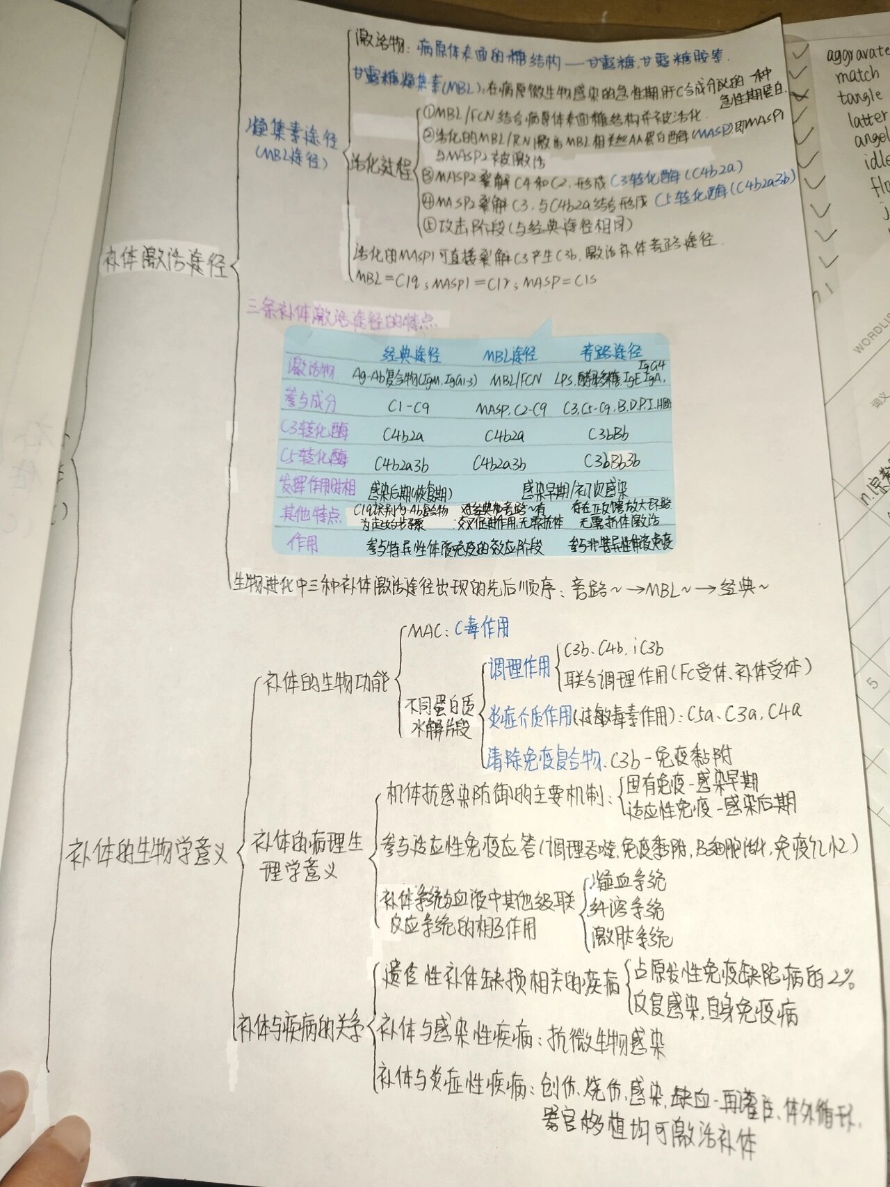 医学免疫学-补体,很全的思维导图