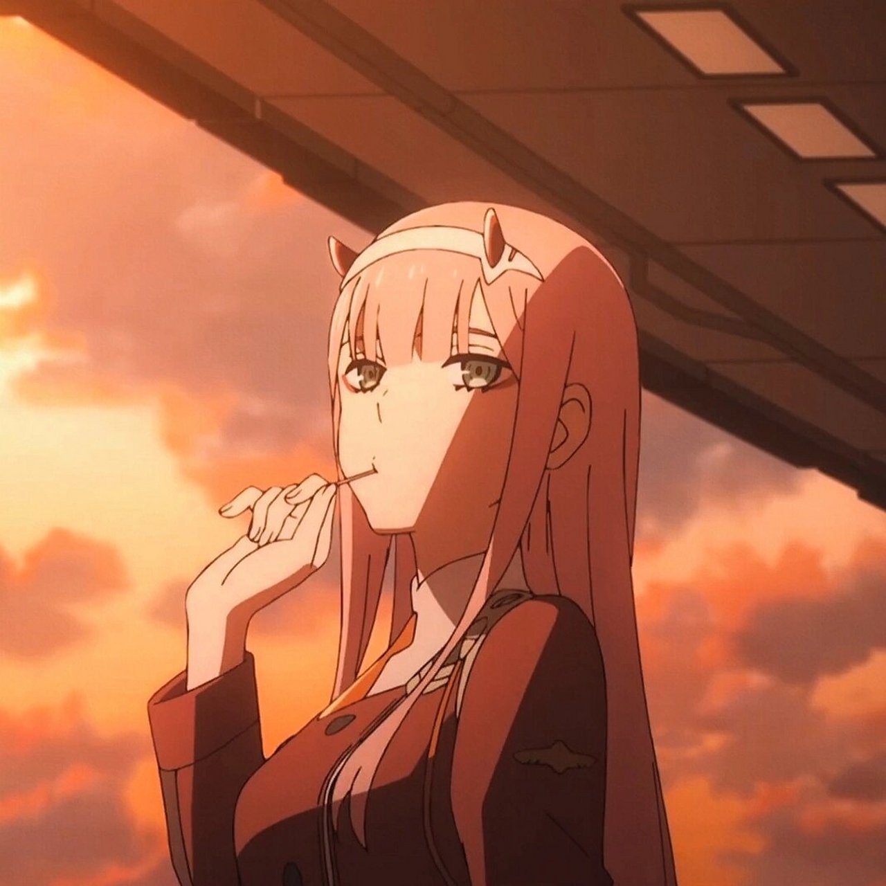 国家队02|情侣头像26615 "传说有一种鸟名为比翼鸟 只有一边翅膀