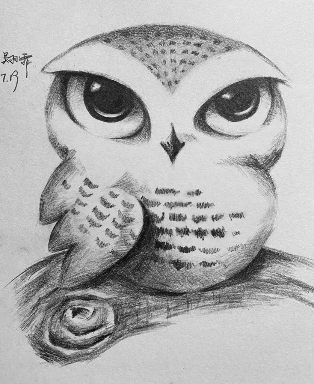 初一小朋友素描绘画 初一孩子素描绘画