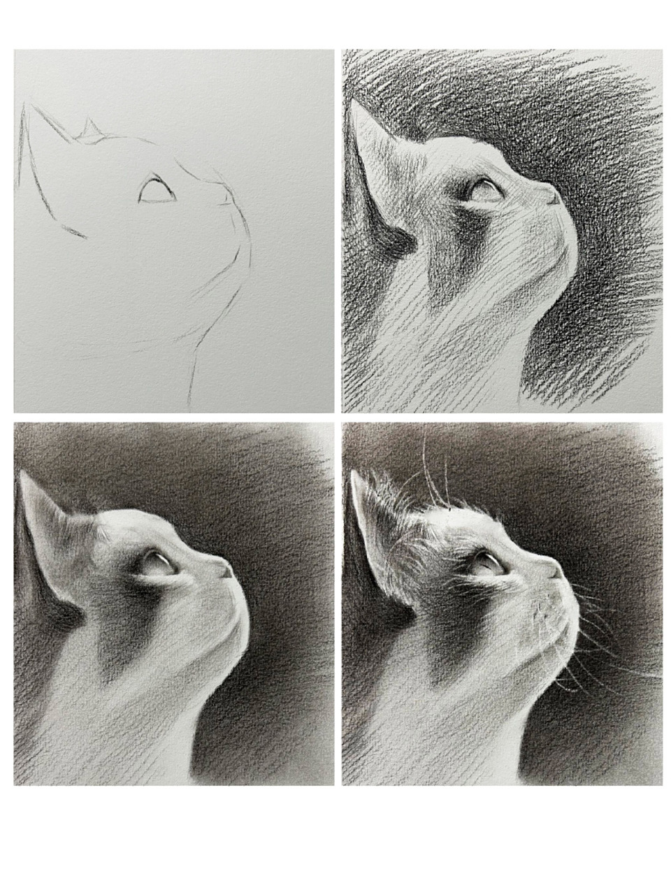 超可爱的侧面猫咪素描步骤教程!